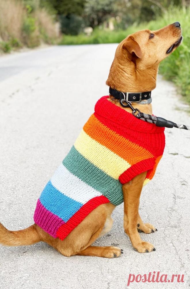 Dog Jumper Knitting Pattern - Rainbow Stripes Dog jumper knitting pattern with rainbow stripes. Make your dog a colourful rainbow sweater that will make people smile on their daily walks.
