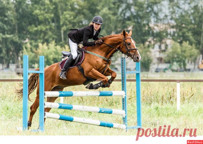 Фото: Конкур. Фотограф Сан Саныч. Спорт - Фотосайт Расфокус.ру