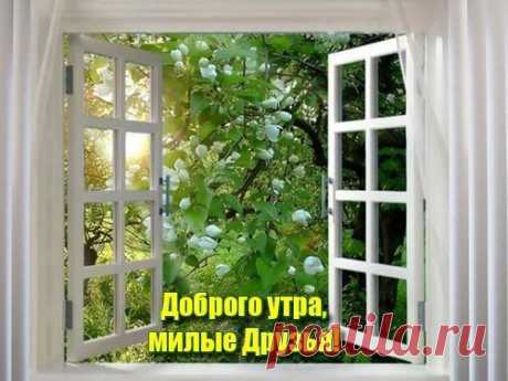 Владимир Перляев - Санкт-Петербург, Россия, 58 лет на Мой Мир@Mail.ru