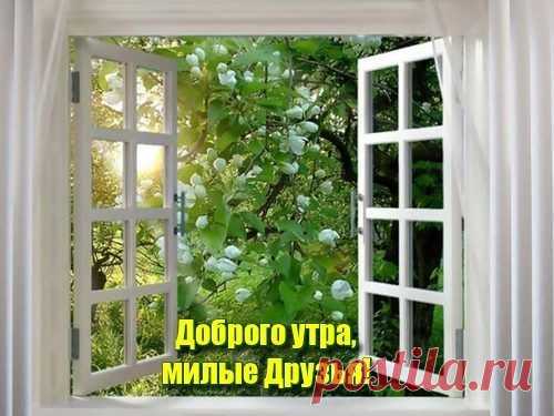 Владимир Перляев - Санкт-Петербург, Россия, 58 лет на Мой Мир@Mail.ru