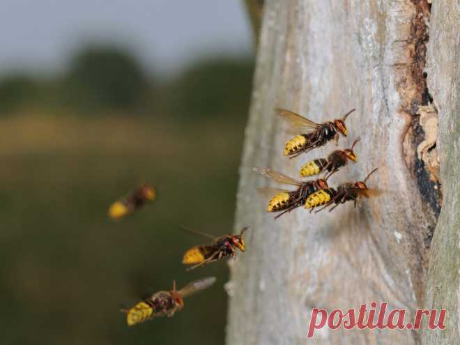 35PHOTO - Курочкин Валерий - Диспетчер дал "Добро".