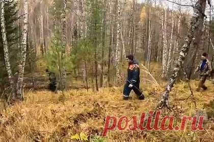 Стало известно о намерении бесследно пропавшей в тайге Усольцевой развестись с мужем