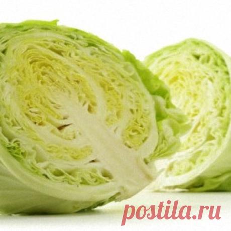 Доступные продукты — «Чистильщики! - МирТесен