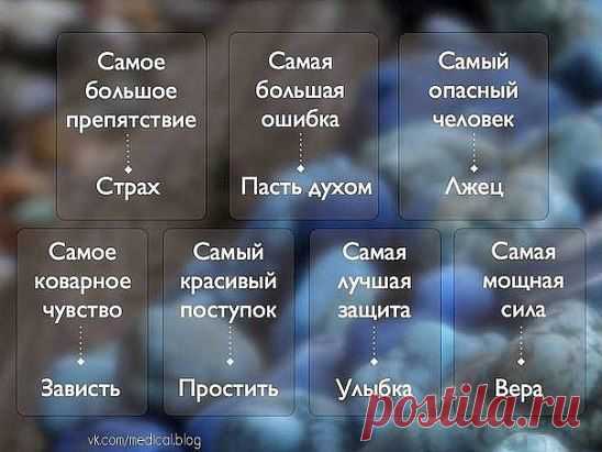 (82) Одноклассники