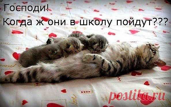 устала...