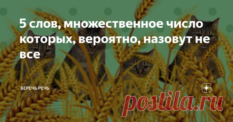 5 слов, множественное число которых, вероятно, назовут не все Можно проверить себя!