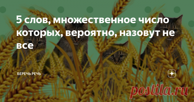 5 слов, множественное число которых, вероятно, назовут не все Можно проверить себя!
