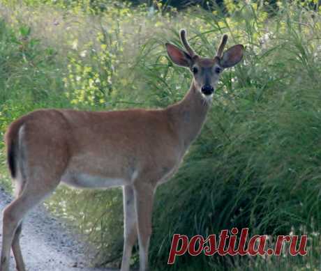 MLive.com Galleries | MLive.com