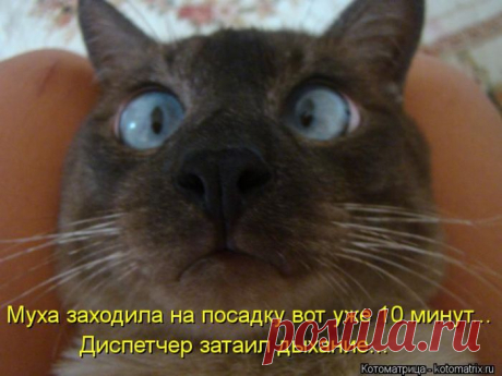 юмор