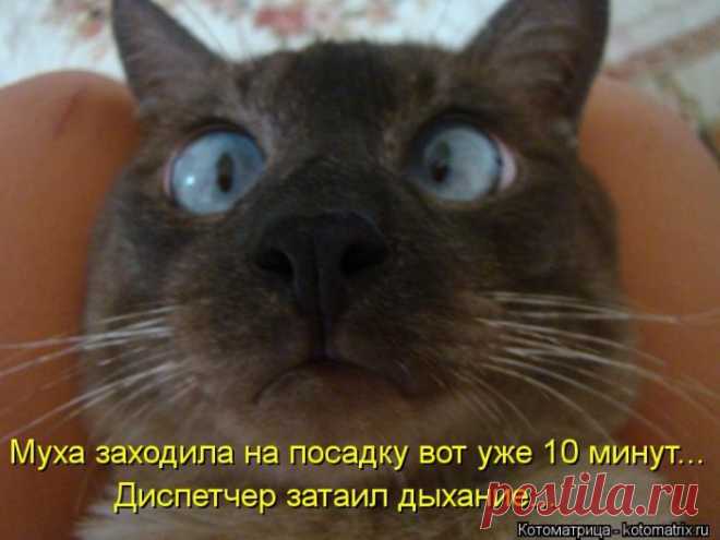 юмор