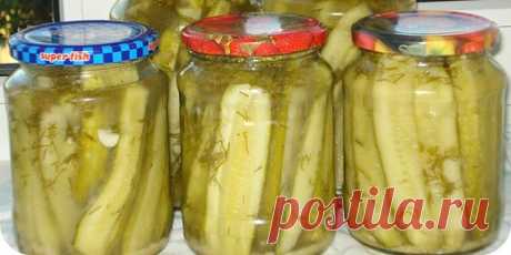 ОГУРЦЫ В СОБСТВЕННОМ СОКУ НА ЗИМУ "ОБАЛДЕННЫЕ" 

ИНГРЕДИЕНТЫ: 
Огурцы - 1 кг 
Масло растительное - 50 мл 
Уксус 9% - 50 мл 
Горошины черного перца - 10-12 шт. 
Соль - 2 ч.л. 
Сахар - 2 ч.л. 
Чеснок - 3 зубчика 
Кориандр молотый - 0,5 ч.л. 

РЕЦЕПТ ПРИГОТОВЛЕНИЯ: 
У огурцов срежьте хвостики. Сразу пробуйте огурцы на горечь. Нарежьте каждый огурчик четвертинками и четвертинки обрежьте пополам. 
Чеснок пропустите через чеснокодавилку, всыпьте соль и сахар, перец и кориандр. В...