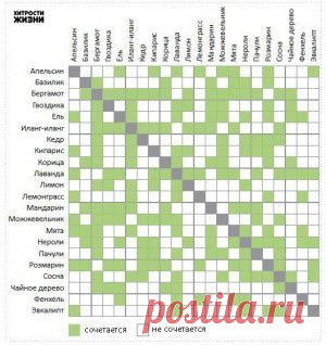 Как правильно сочетать эфирные масла.