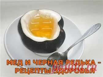 МЕД И ЧЕРНАЯ РЕДЬКА - РЕЦЕПТЫ ЗДОРОВЬЯ 

При повышенном артериальном давлении 

Необходимо смешать один стакан свекольного сока с одним стаканом сока черной редьки, добавить по 200 грамм меда и клюквенного сока, перемешать полученную массу. Принимать данное целебное средство следует по одной столовой ложке за один час до приема пищи.
Показать полностью…