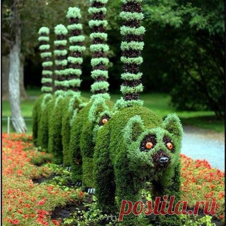 11008250_1378574709108787_1009909758_n.jpg (640×640)