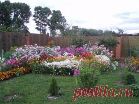 ограждения цветников - Ландшафтный дизайн - Фото - Интересное о дизайне