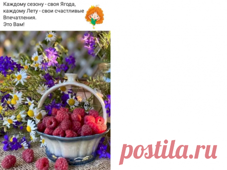 4027a121.png (1023×768)