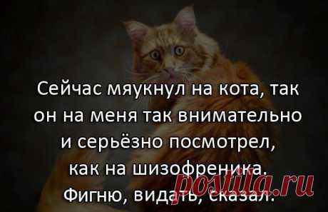 мысль