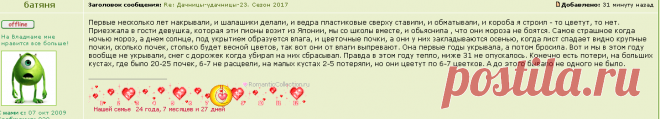 Дачницы-удачницы-23. Сезон 2017 - Страница 11 | VLADMAMA.RU