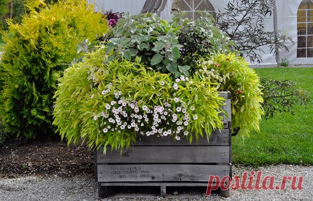 Зачем вам: Собирать бутылки для садового сезона