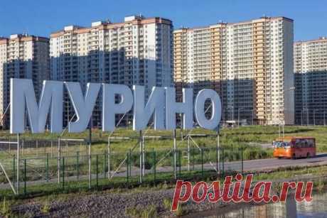 Где находится Мурино? - Узнай где находится… всё!