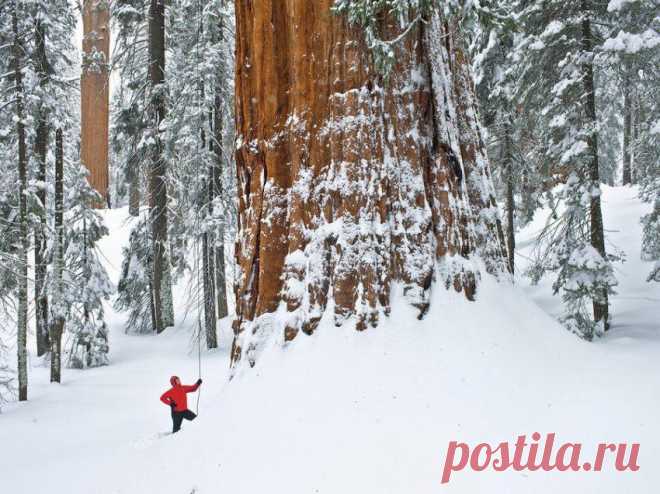 Лучшие фотографии от National Geographic за 2012 год » Бяки.нет