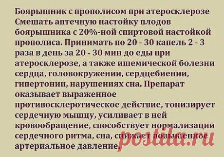 Боярышник с прополисом при атеросклерозе

Информация предоставлена в ознакомительных целях.
Перед применением любых советов, рецептов или средств народной медицины, обязательно получите консультацию врача.
САМОЛЕЧЕНИЕ МОЖЕТ БЫТЬ ВРЕДНЫМ ДЛЯ ВАШЕГО ЗДОРОВЬЯ!