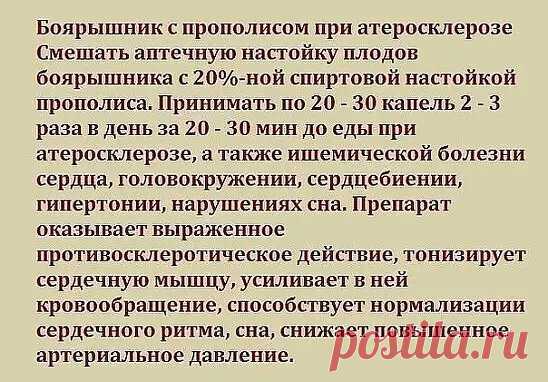 Боярышник с прополисом при атеросклерозе

Информация предоставлена в ознакомительных целях.
Перед применением любых советов, рецептов или средств народной медицины, обязательно получите консультацию врача.
САМОЛЕЧЕНИЕ МОЖЕТ БЫТЬ ВРЕДНЫМ ДЛЯ ВАШЕГО ЗДОРОВЬЯ!