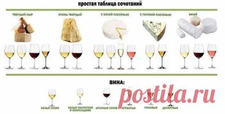 Учимся сочетать вино с сырами. Самые вкусные комбинации | Хитрости жизни