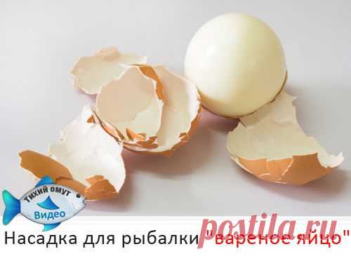 Насадка для рыбалки "вареное яйцо"