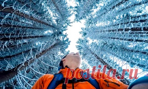 AdMe — Творчество. Свобода. Жизнь.