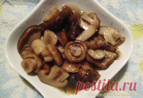 Квашеные грибы по старому рецепту | Русская деревенская кухня | Яндекс Дзен