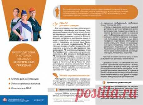 Светлана Болотова