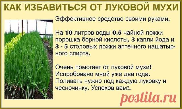 (67) Одноклассники