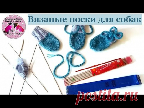 Вязаные носки для собаки