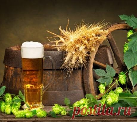 НЕОБЫЧНЫЕ СПОСОБЫ ИСПОЛЬЗОВАНИЯ ПИВА В БЫТУ