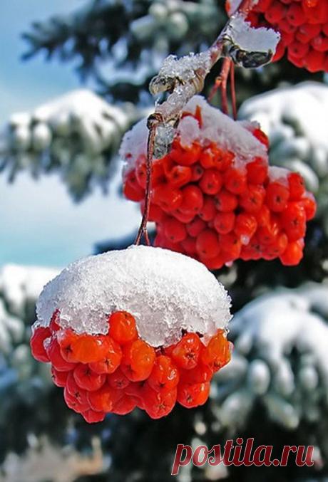Нужно учиться радоваться любому времени года, любому дню, любой погоде.