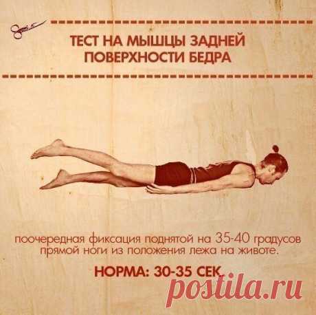 10 упражнений, которые покажут ваши слабые места :: smartinf