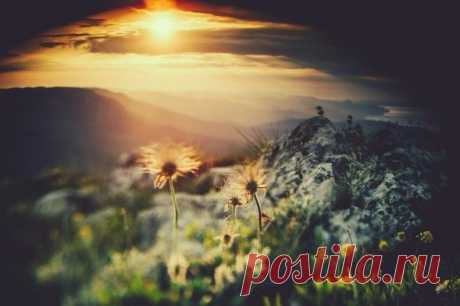 Демерджи, Крым.