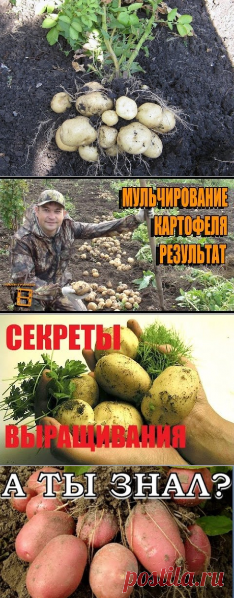 (52) Одноклассники