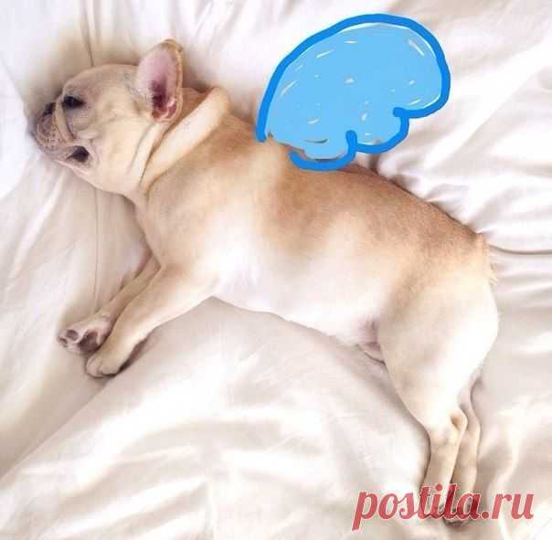 Мимими💛☺ / Логика моды