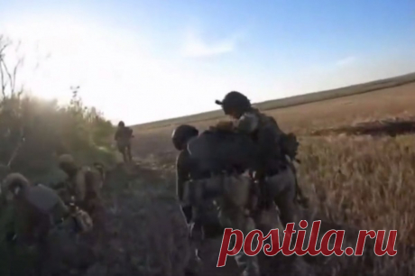 Военный эксперт Литовкин прокомментировал прейскурант на услуги в рядах ВСУ. Эксперт назвал местечковым бизнесом на смерти коммерческие отношения в украинской армии.