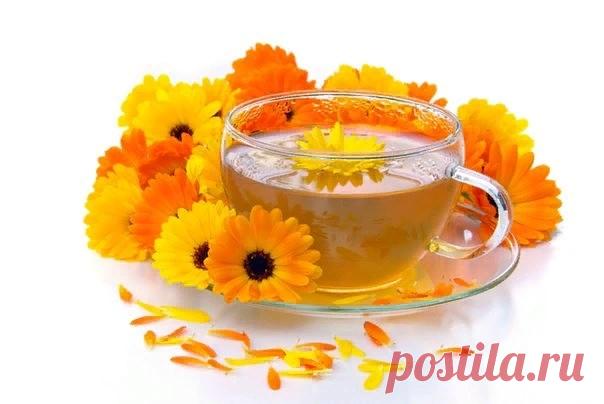 Травяной чай для печени