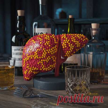 Алкоголь и печень: как сохранить здоровье, выпивая с удовольствием 🍷🩺 | Калдырье | Дзен