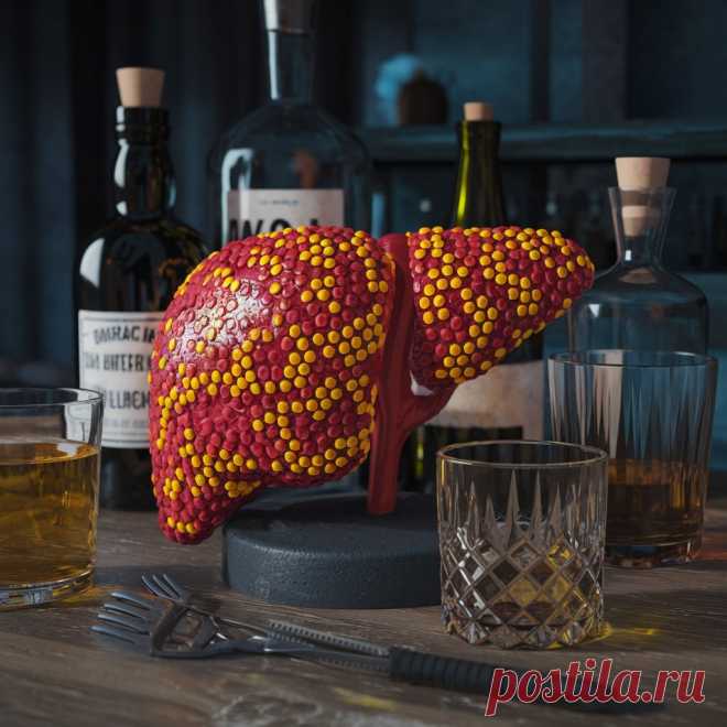 Алкоголь и печень: как сохранить здоровье, выпивая с удовольствием 🍷🩺 | Калдырье | Дзен