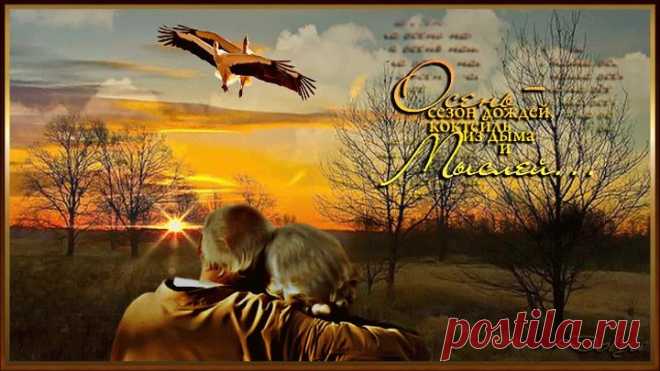 Аркадий Дар (