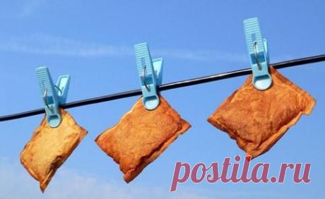 5 причин не выбрасывать использованные чайные пакетики / Популярная медицина