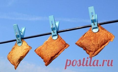 5 причин не выбрасывать использованные чайные пакетики / Популярная медицина