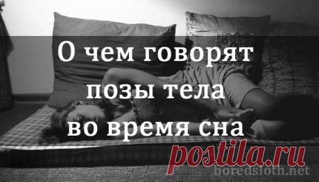 Скучающий ленивец — О чем говорят позы тела во время сна