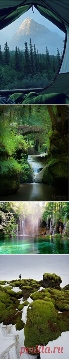 (18) Pinterest