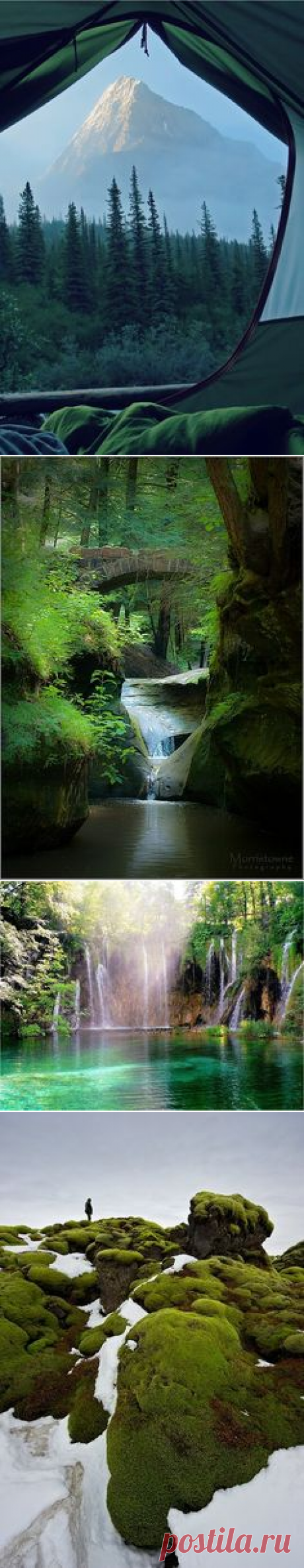 (18) Pinterest